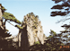 Huangshan tours