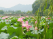 Hangzhou tours
